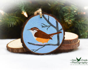A Carolina wren hand-painted on a wood slice Christmas ornament available for purchase at Cove Creek Photography.
